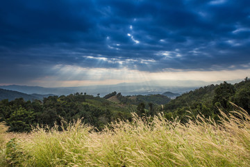 Scene of yellow field with mountain and dramatic cloudy sun light shading sky.