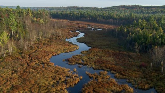 Flying above meandering Maine river in autumn