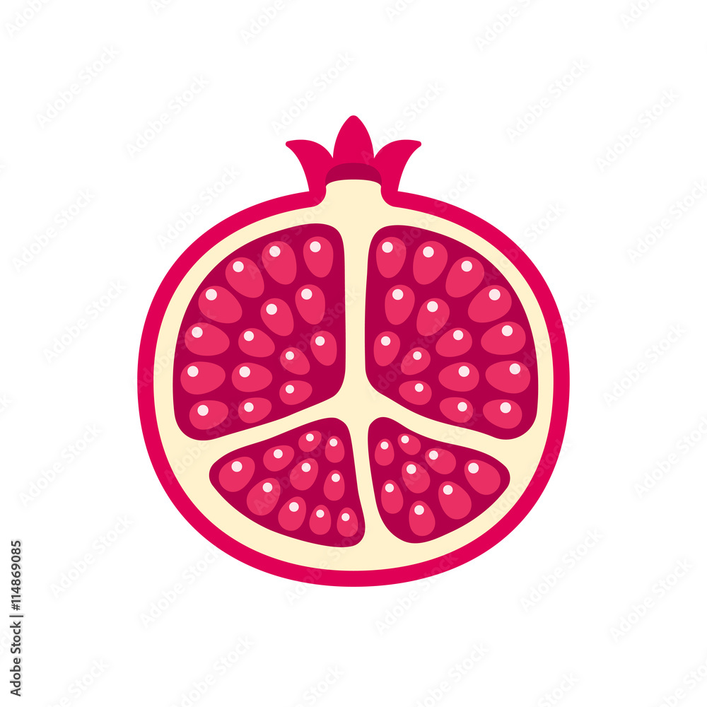 Poster pomegranate icon illustration