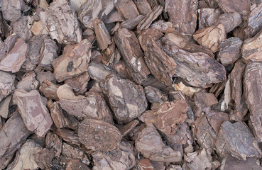 Brown pine bark - texture