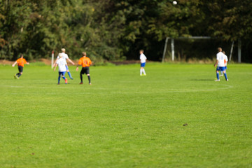 Obraz na płótnie Canvas Blurred soccer players on green pitch