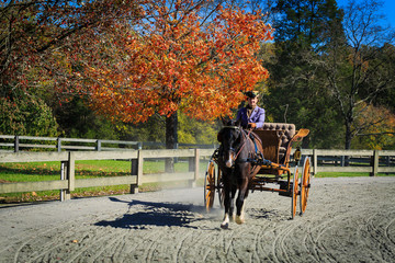 Carriage Rider competing in the James River Driving Association