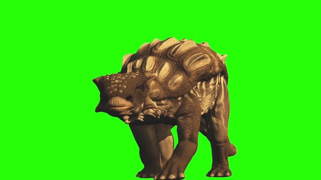 Ankylossaurus em fundo verde para composi&ccedil;&atilde;o digital
