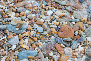 Round sea stone, natural background and teture