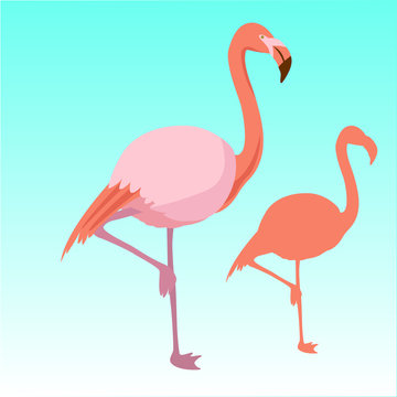 Pink flamingo bird  silhouette vector illustration