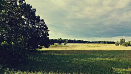 Wiese im M&ouml;nchbruch