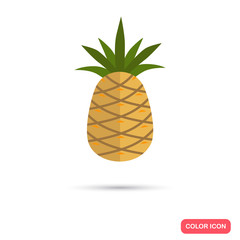 Pineapple color flat icon