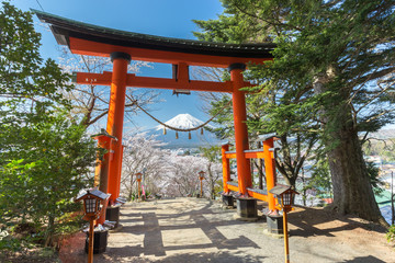 Torii gates with Sakura and Mountain Fuji