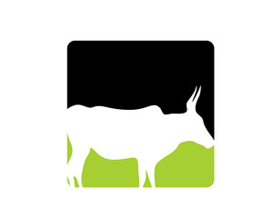 Animal Buffalo Logo Icon Vector