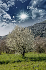 Fototapety na wymiar - Fototapeta24.pl