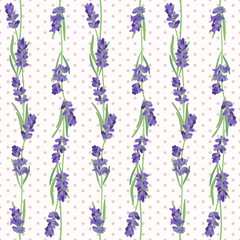 Bright vector seamless background with sprigs of lavender.