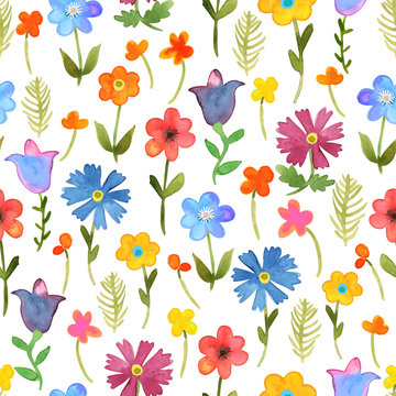 Seamless floral  background. Isolated colorful field flowers and