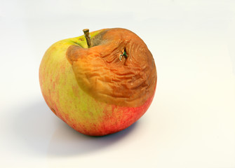 rotten apple  