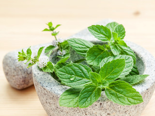 Closeup fresh peppermint leaves in the white mortar with pestle