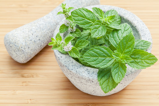 Closeup fresh peppermint leaves in the white mortar with pestle