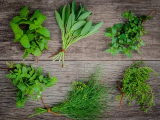 Crédence de cuisine en verre imprimé Herbes Various aromatic herbs and spices from garden  green mint ,fenne