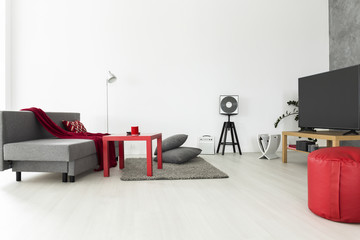 Bachelor apartment ideal for a music lover