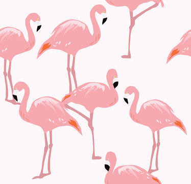 Vector Flamingo Bird © peony