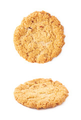 Oatmeal cookie isolated