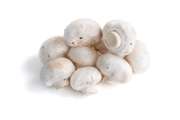 White champignon mushrooms isolated on white background