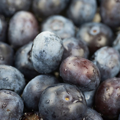 Surface coated with bilberries