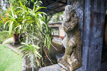 Holiday in Bali, Indonesia - Botanical Garden of Bali