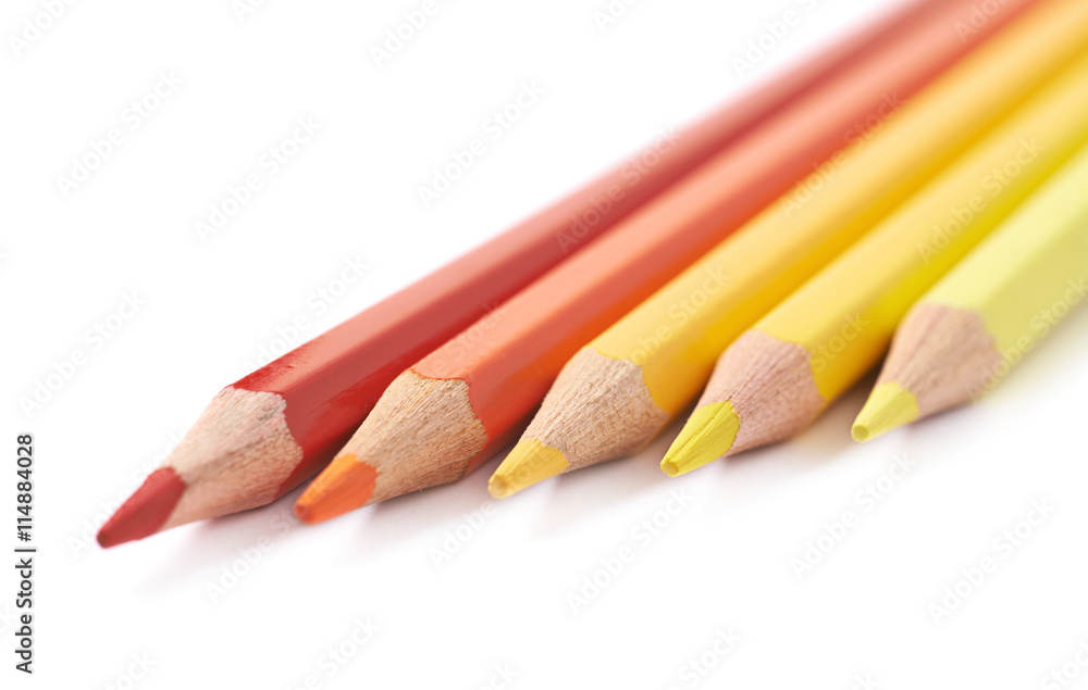 Wall mural line of five color pencils isolated