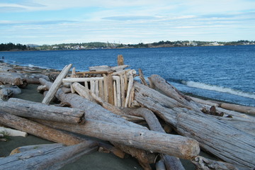 Fototapeta na wymiar Driftwood House on the Beach