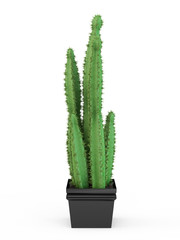 Cleistocactus flavispinus - houseplants cactus in earthenware pot, isolated on white background. 3D Rendering, 3D Illustration.