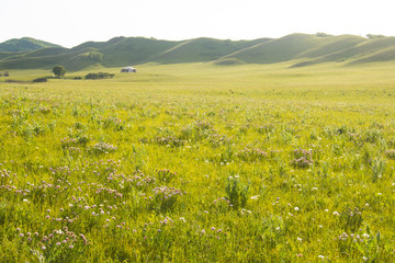 China Inner Mongolia natural grassland