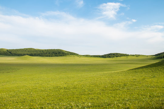 China Inner Mongolia natural grassland