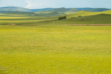 China Inner Mongolia natural grassland