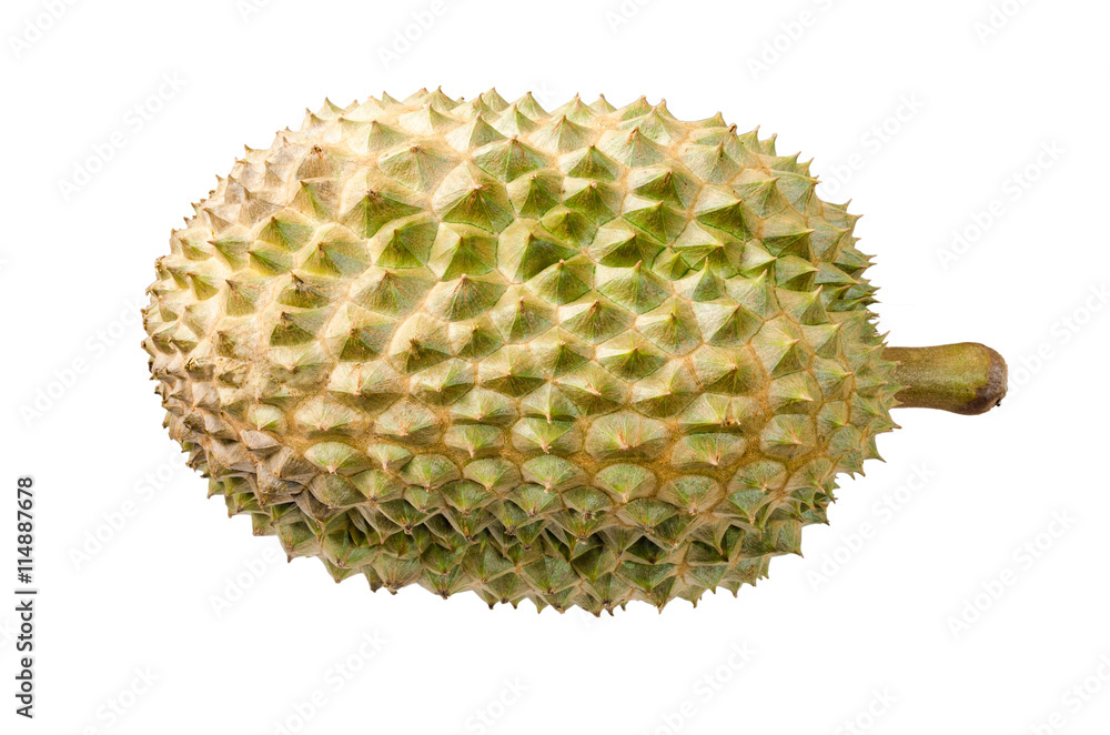 Wall mural close-up durian isolated on white background