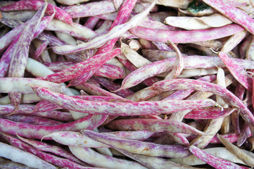 Fresh red haricot or  cranberry bean pods 