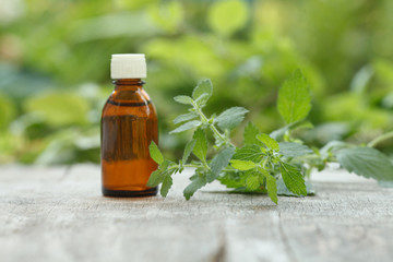 melissa oil container with melissa leaves