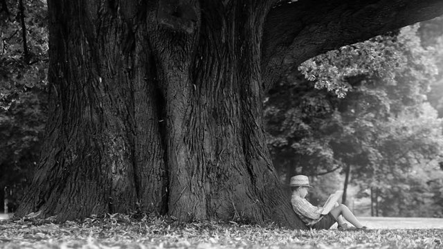 Black and white video: a boy sits at the foot of the huge tree reading a book