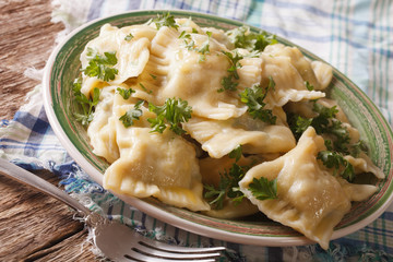 Maultaschen dumplings stuffed with meat and spinach closeup. Horizontal
