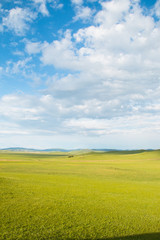 China Inner Mongolia natural grassland