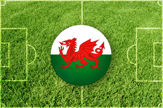 Wales football symbol