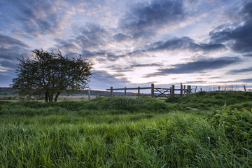 Beautiful English countryside landscape over fields at sunset