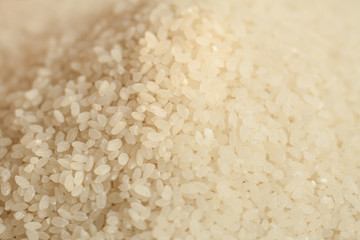 White Rice, Food, Crop