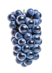 Bunch of Blue Grapes