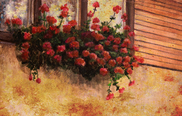 red geranium flower in village house window, painting detail
