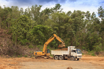 Deforestation environmental destruction of Borneo rainforest. Clearing jungle forest to make way for oil palm plantations.