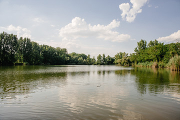 Summer lake