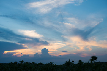 Beautiful Sunset In Clouds