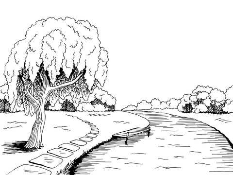 Park river willow tree graphic art black white landscape sketch illustration vector