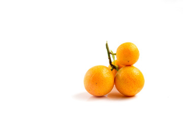 Orange Kumquat placed on white background