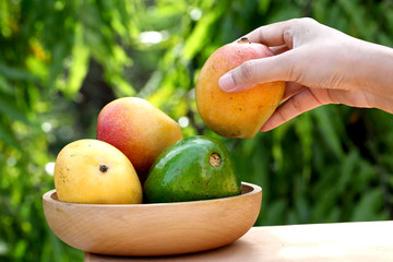 Fresh ripe mangoes and avocado in a wooden bowl - 114893416