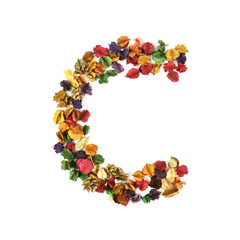 C, Dried flower alphabet isolated on white background